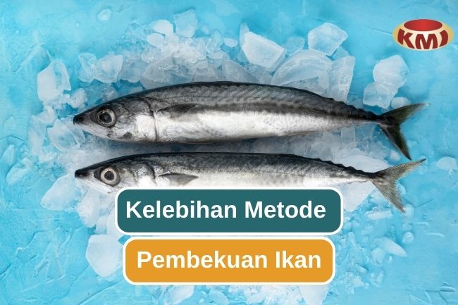 5 Keunggulan Metode Pembekuan Ikan 